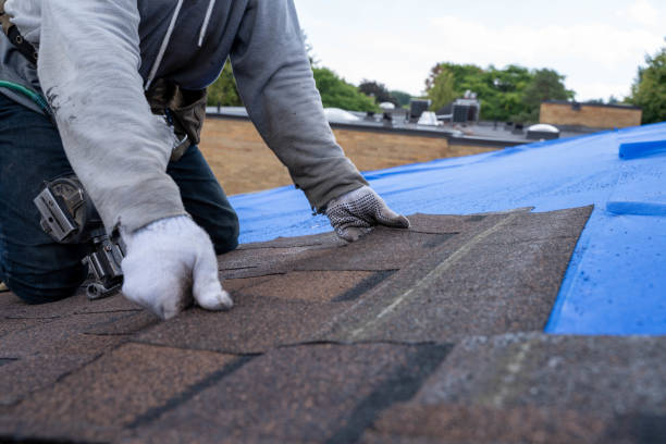 Best Rubber Roofing (EPDM, TPO)  in Hillsboro, KS